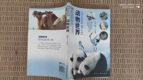 动物世界