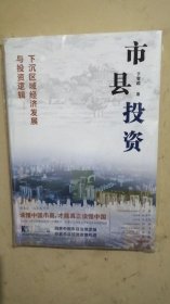 市县投资：下沉区域经济发展与投资逻辑（读懂中国市县，才能读懂中国！一书洞悉中国市县治理与投资模式，探索市县投资新机遇！）