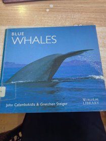 BLUE WHALES 具體看圖