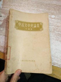 中古文学史论集