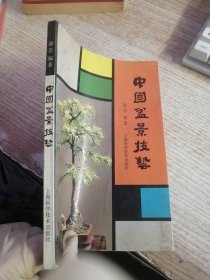 中国盆景技艺（内页有笔记划线看图）