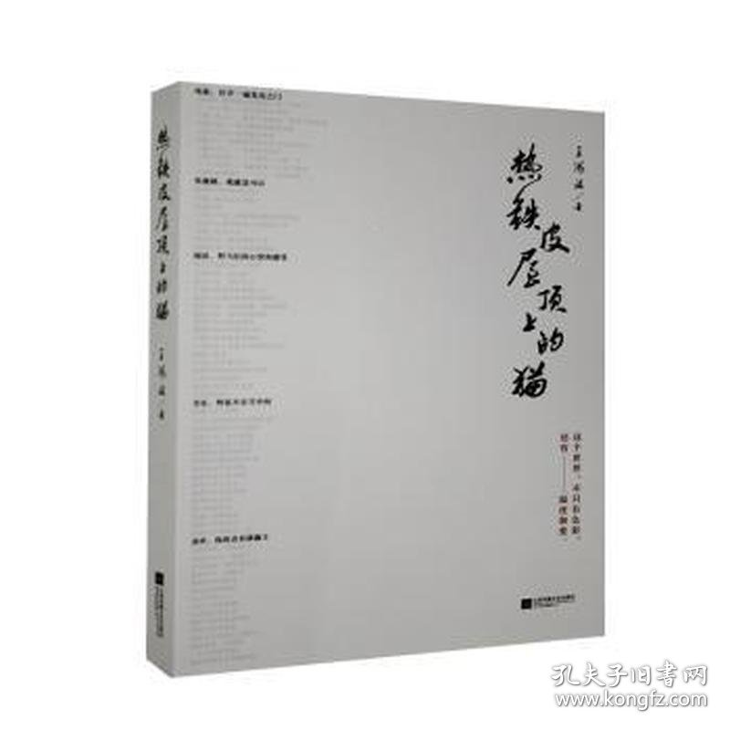 热铁皮屋顶上的猫