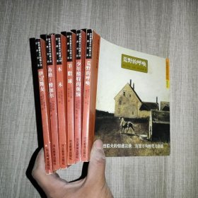 世界最著名中短篇小说经典书系 6本合售