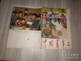 中国青年1966年第5期