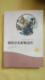 钢铁是怎样炼成的（有声伴读名家名译）封面有字