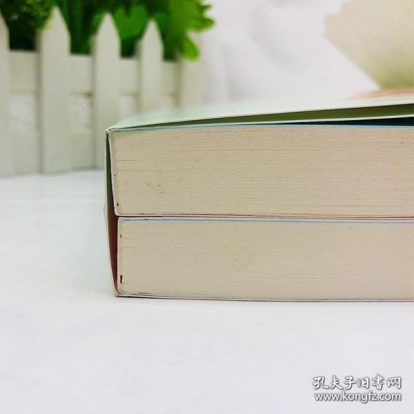 可爱多少钱一斤（上下）