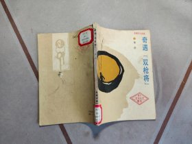奇遇双枪将