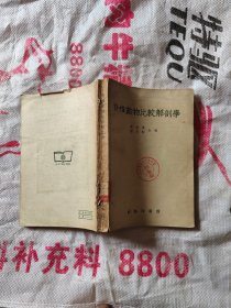 脊椎动物比较解剖学