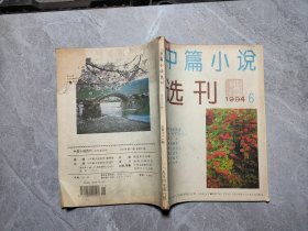 中篇小说选刊 1994 6