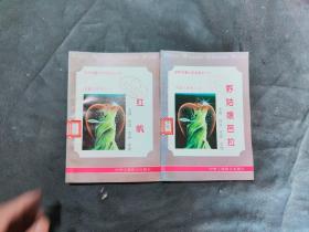 世界名著少年文库 红帆·野姑娘芭拉