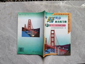 初中英语同步单元练习册第3册下 初三年级第二学期.