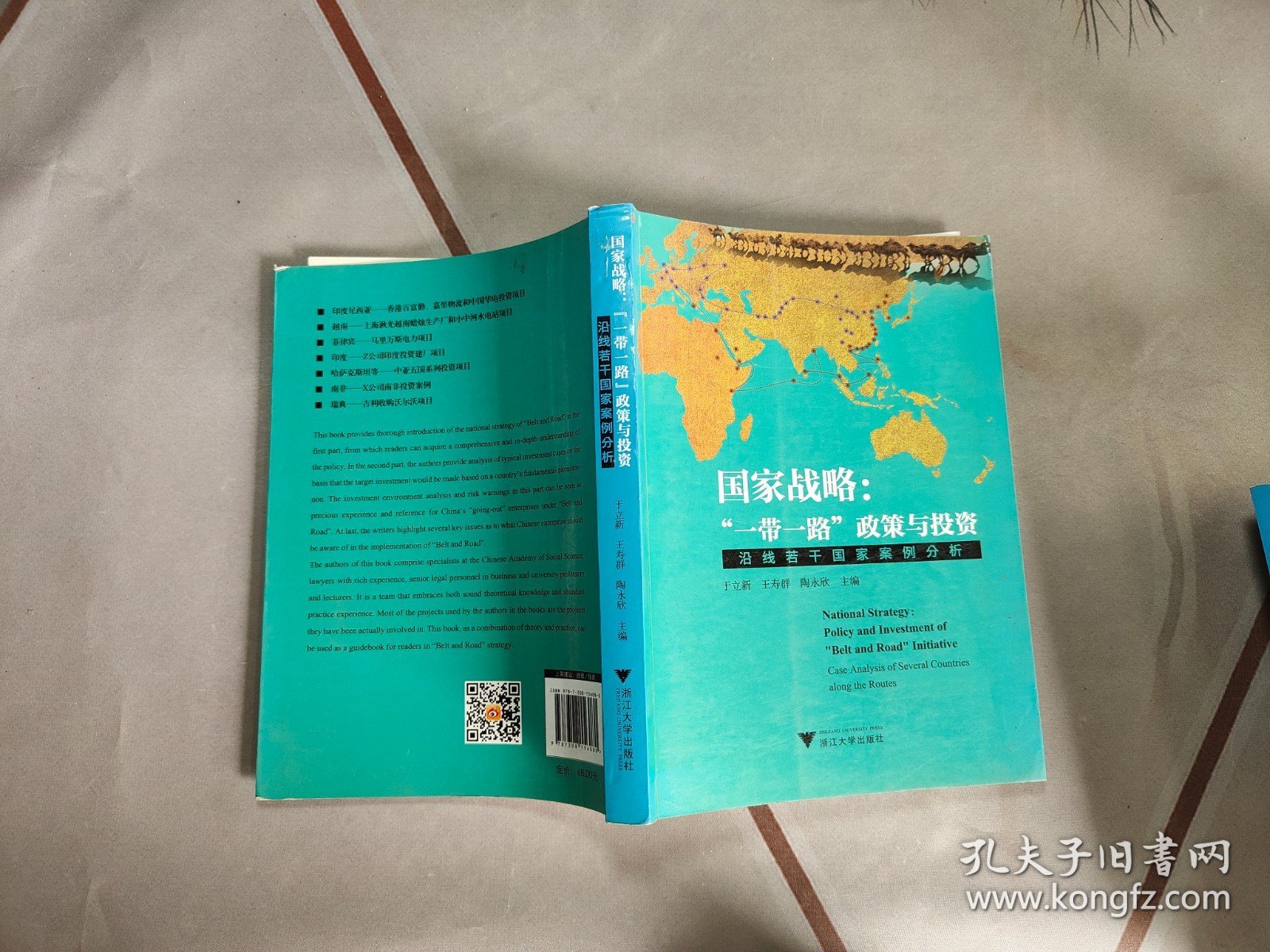 国家战略：“一带一路”政策与投资?沿线若干国家案例分析