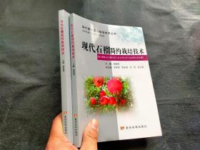 现代石榴简约栽培技术