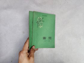 蚕豆
