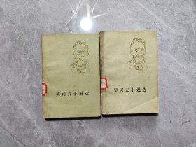 契诃夫小说选上下