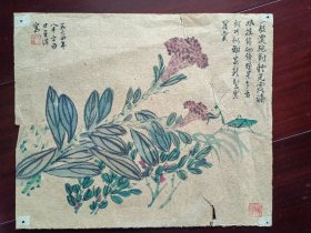 60年代佚名国画《鸡冠花》，20cm*25cm