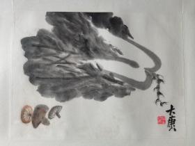 中国美术家协会会员．中国书法家协会会员唐大康国画《白菜香菇》，33cm*45cm