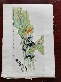 8开画片：郭味蕖画《芭蕉》