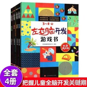 左右脑开发游戏书 （套装4册）100多幅奇趣情景，900多个场景细节，近300个玩出花样的益智游戏，开启3~8岁孩子多元化思维模式