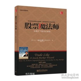 交易大师系列 股票魔法师——纵横天下股市的奥秘