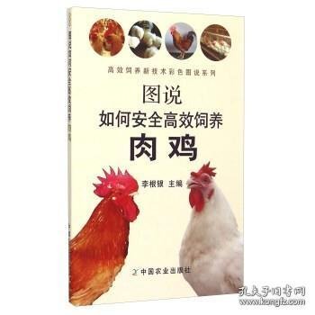 图说如何安全高效饲养肉鸡