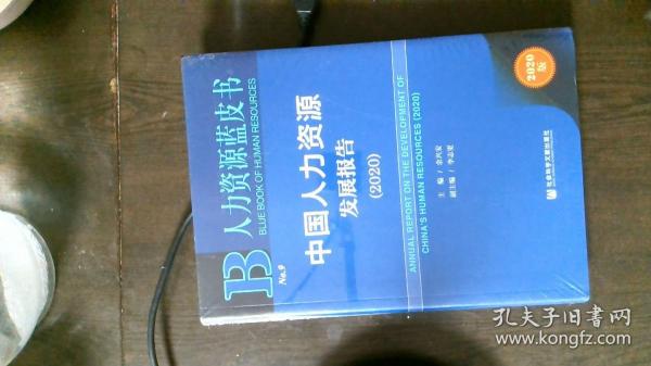 人力资源蓝皮书：中国人力资源发展报告（2020）