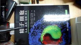 精子细胞--生成 成熟 受精 再生