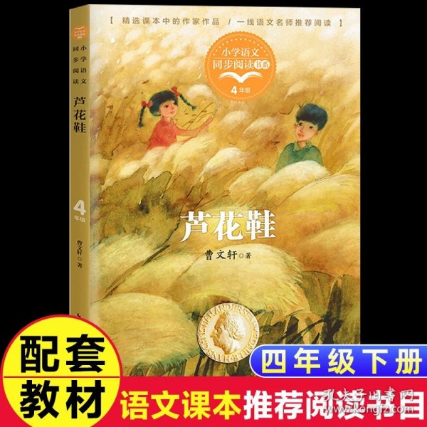 海的女儿 中小学生读语文课本作家作品课外阅书文学经典