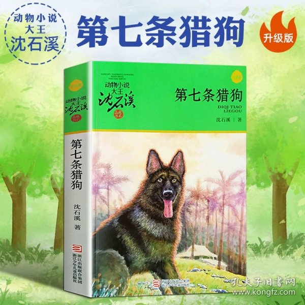 动物小说大王沈石溪·品藏书系：黑天鹅紫水晶