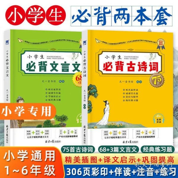 海的女儿 中小学生读语文课本作家作品课外阅书文学经典