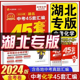 天星教育·2017湖北中考45套汇编 化学