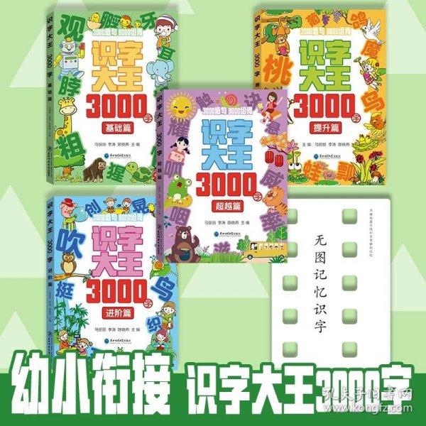 识字大王3000字(全4册)