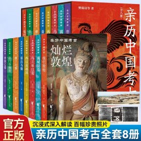 正版全新】亲历中国考古全8册JST中国考古深入解读身临其境马王堆汉墓西汉南越国秦兵马俑楼兰尼雅法门寺地宫曾侯乙墓灿烂敦煌城