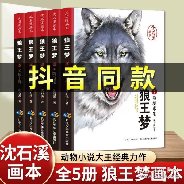 警犬冷焰(8冷血科莫多龙)/沈石溪动物小说