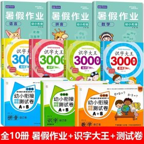 正版全新【超值全10册】暑假作业+测试卷+识字大王 幼小衔接暑假作业全套拼音语言数学幼儿园中班大班学前班幼升小练习册全套一年级入学准备专项思维训练每日一练教材3-6岁幼儿1年级