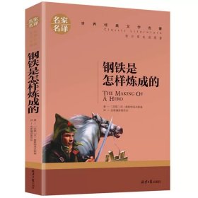正版全新钢铁是怎样炼成的 图书清仓特价批发实体书飞鸟集红星照耀中国西游记捡漏便宜书世界名著小说文学畅销书排行榜低价论斤卖亏本学生