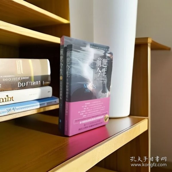 前世今生:生命轮回的启示