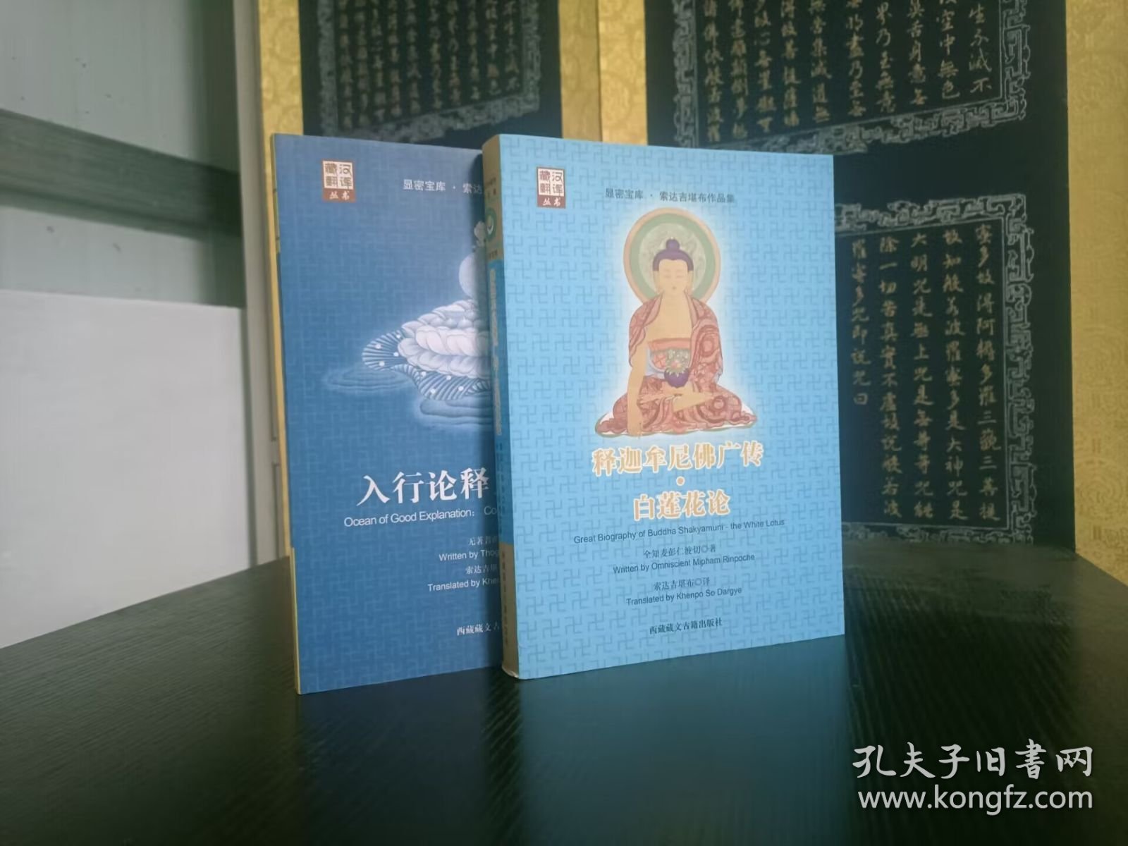 释迦摩尼佛广论白莲花论+善说海