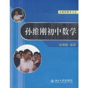 孙维刚教育文丛：孙维刚初中数学