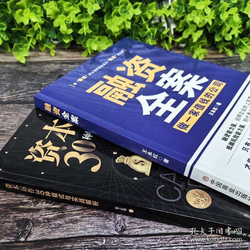 2册 融资全案做一家值钱的公司 资本运作30种模式与实战解析 王永红著 商业模式是设计出来的 公司股权架构激励企业管理类