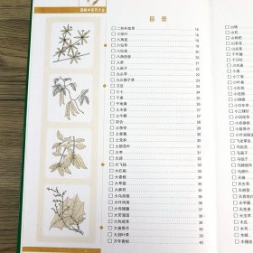 图解中草药大全白话全译彩图版中草药全图鉴中国医药学彩色原色图谱鉴别与应用野外识别手册实用图鉴中草药中华中草药图谱全典书籍