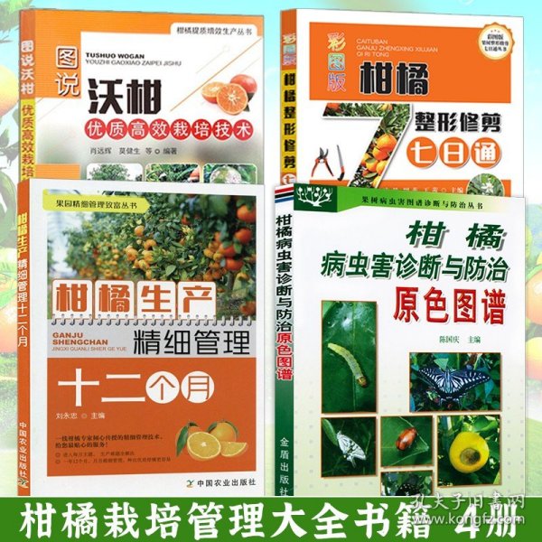 图说沃柑优质高效栽培技术(社级市场书)