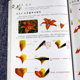 国画技法从入门到精通：四季百花中国画水墨画入门写意工笔画教程四季花卉画法赏析临摹荷花梅花牡丹玫瑰画法飞乐鸟工作室书籍