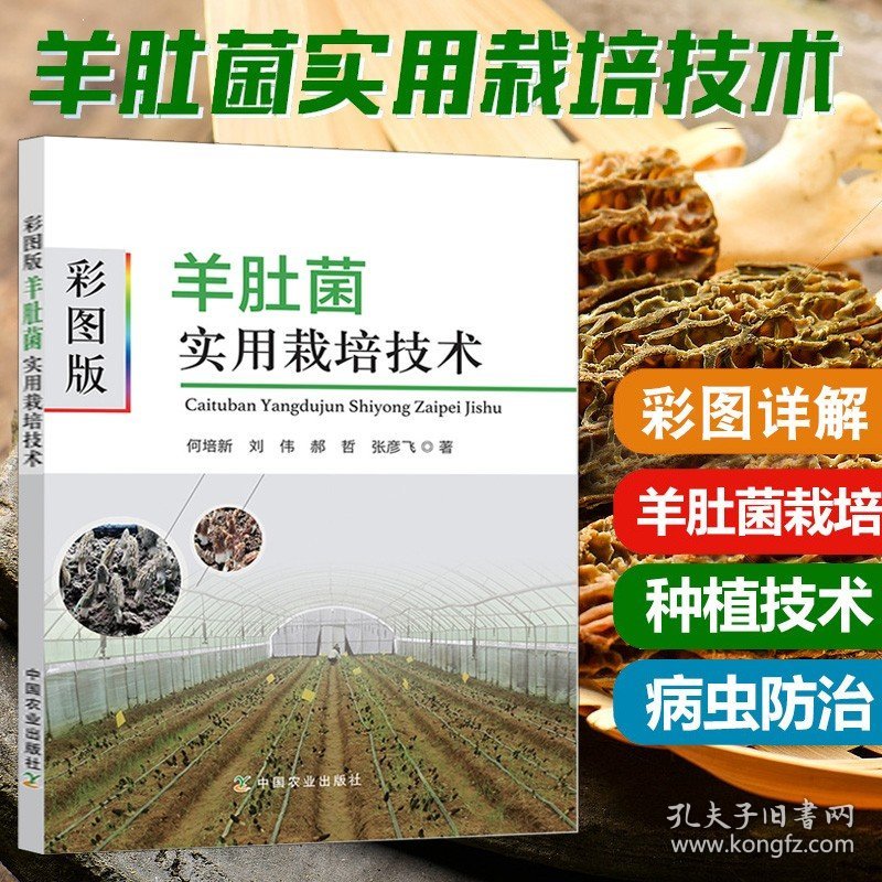 彩图版 羊肚菌实用栽培技术食用菌栽培种植羊肚菌栽培技术大棚栽培技术大全羊肚菌农作物栽培种植农作物高产病虫害防治书籍