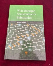 Wide Bandgap Semiconductor Spintronics【外文原版旧书 请看图片】