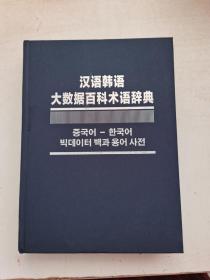 汉语韩语大数据百科术语辞典 缺书衣