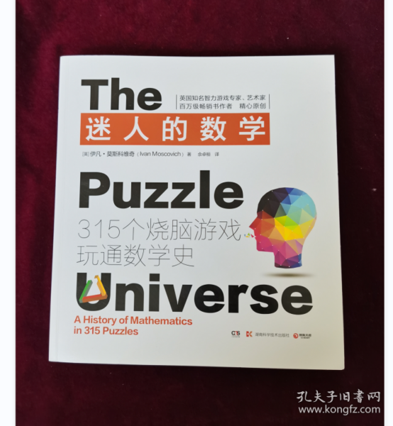 迷人的数学：315个烧脑游戏玩通数学史