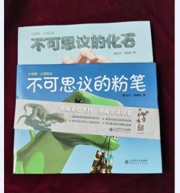 不可思议无字书系列：不可思议的化石+不可思议的粉笔（套装