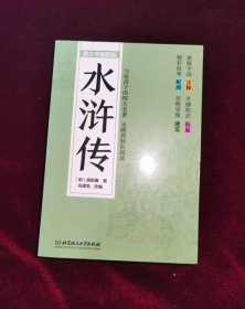 写给孩子的四大名著——水浒传（青少年插图版）