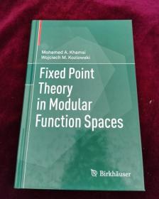 Fixed Point Theory in Modular Function Spaces